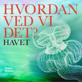 Hvordan ved vi det?