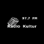 Radio Kultur